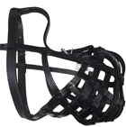 Dog Collars & Dog Leads